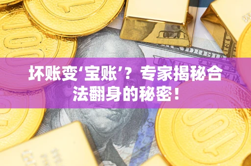 武汉坏账变‘宝账’？专家揭秘合法翻身的秘密！