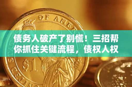 武汉债务人破产了别慌！三招帮你抓住关键流程，债权人权益不再缩水
