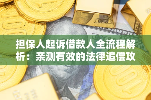 武汉担保人起诉借款人全流程解析：亲测有效的法律追偿攻略