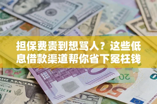 武汉担保费贵到想骂人？这些低息借款渠道帮你省下冤枉钱