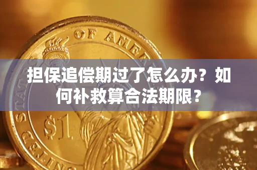 武汉担保追偿期过了怎么办？如何补救算合法期限？