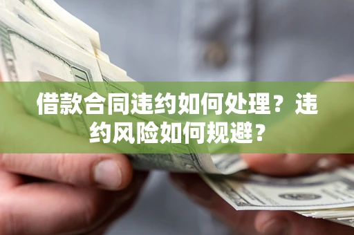 武汉借款合同违约如何处理？违约风险如何规避？