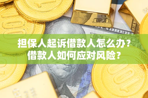 武汉担保人起诉借款人怎么办？借款人如何应对风险？