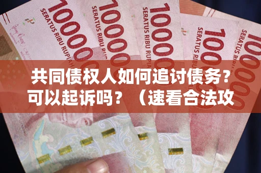 武汉共同债权人如何追讨债务？可以起诉吗？（速看合法攻略）