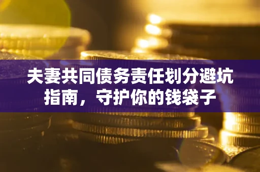 武汉夫妻共同债务责任划分避坑指南，守护你的钱袋子