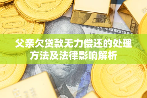 武汉父亲欠贷款无力偿还的处理方法及法律影响解析